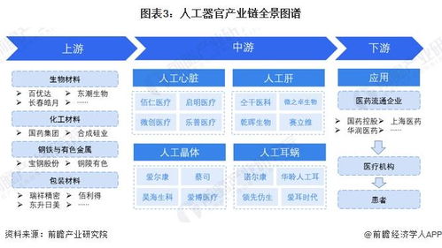預(yù)見2024 中國(guó)人工器官行業(yè)全景圖譜——市場(chǎng)現(xiàn)狀、競(jìng)爭(zhēng)格局與發(fā)展趨勢(shì)洞察